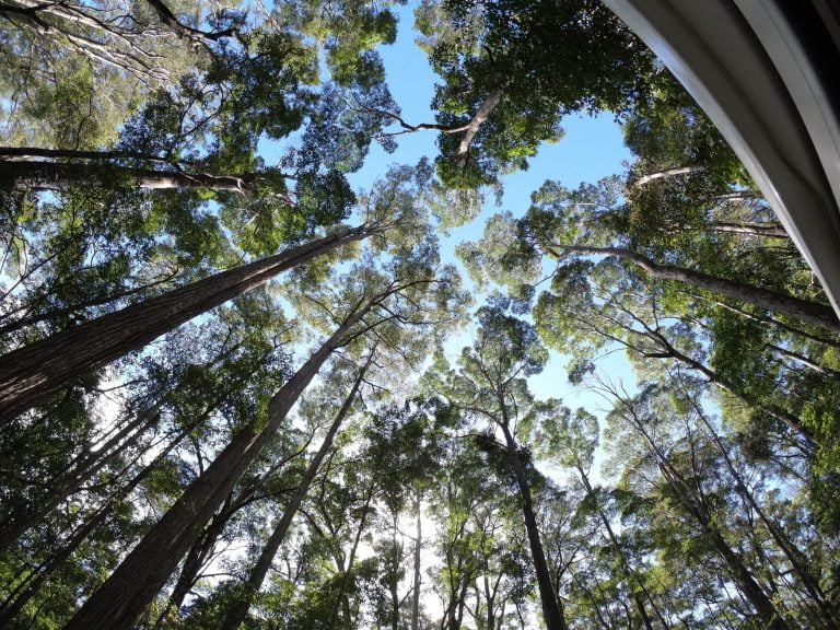 Easy Lifestyle Switches That Are Good For Mother Nature
