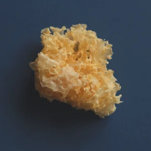 Glow_-_Tremella